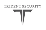 Trident Security 300x200